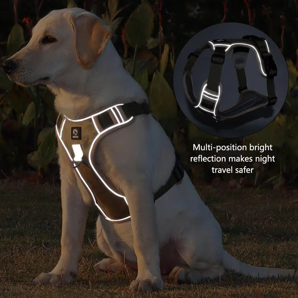 Furzera Professional Dog Harness&Collar